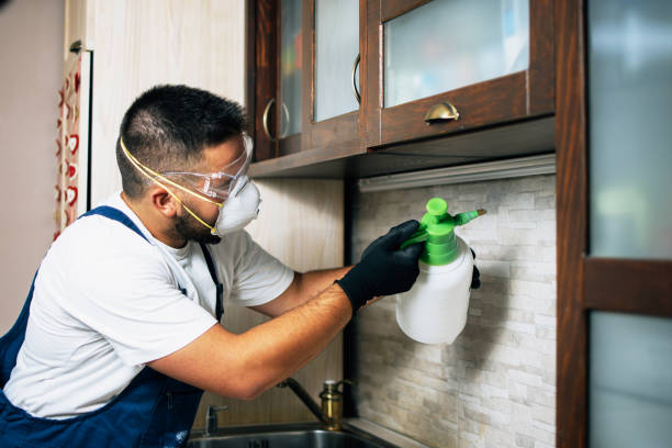 Best Mosquito Control Services  in Welsh, LA