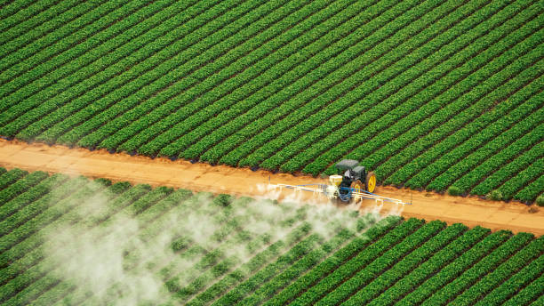 Best Pest Control Treatment  in Welsh, LA