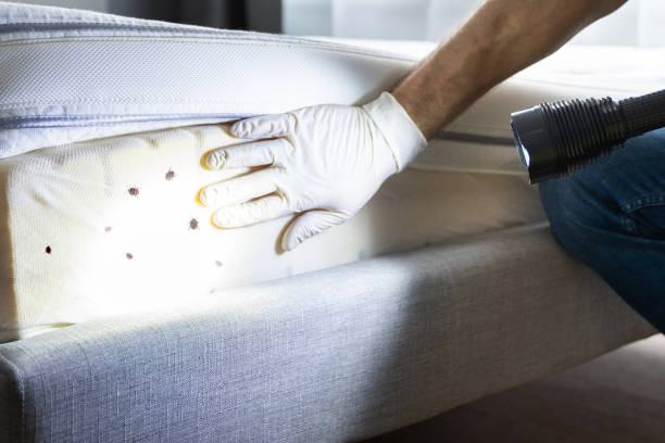 Best Exterminator Services  in Welsh, LA