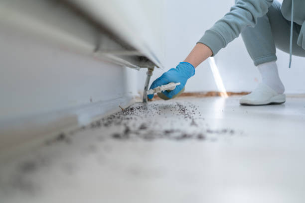 Trusted Welsh, LA Pest Control Experts