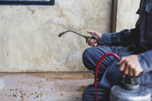 Best Best Pest Control Companies  in Welsh, LA